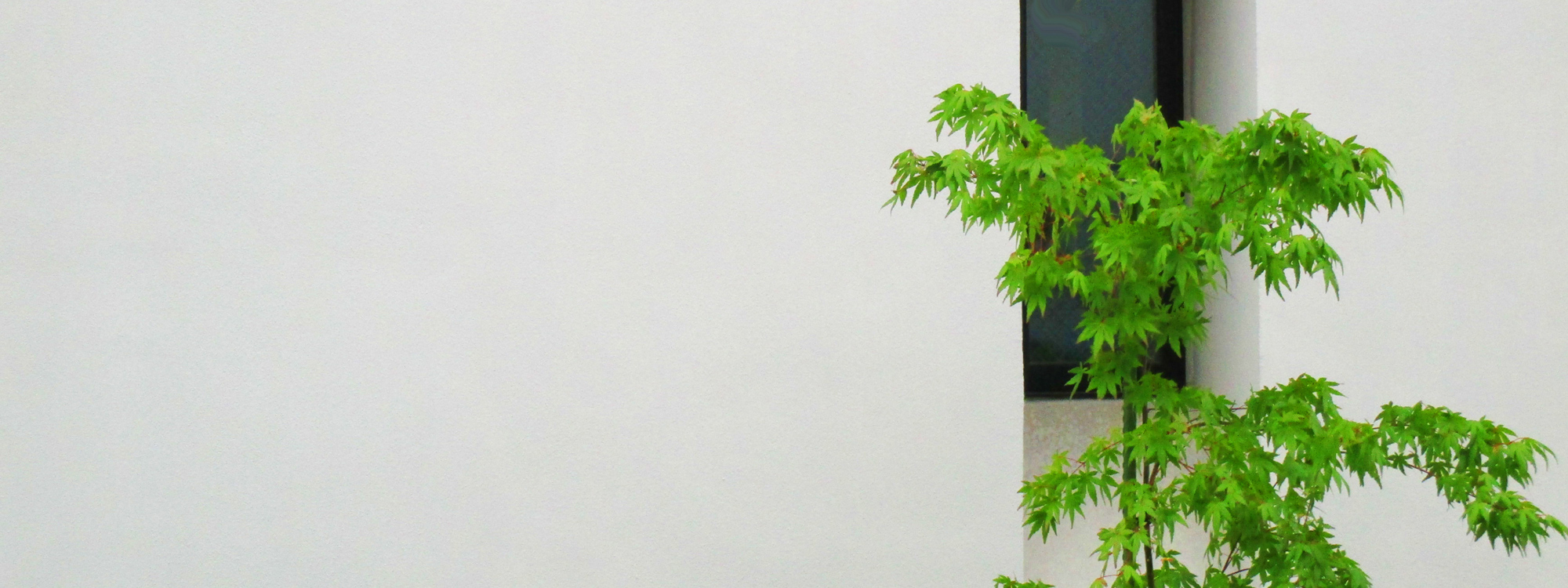 株式会社ライテック